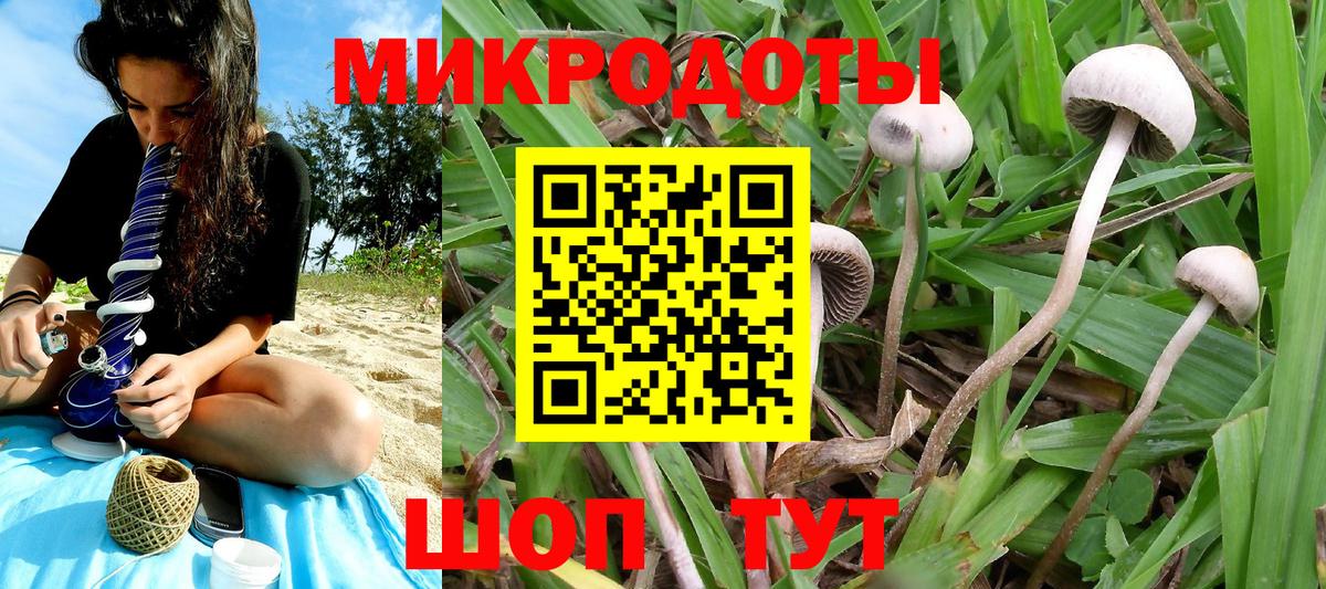 Галлюциногенные грибы мицелий Апшеронск