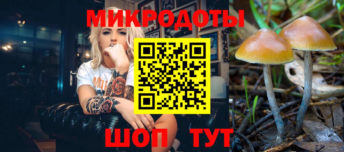 Апшеронск  Галлюциногенные грибы ЛСД  Галлюциногенные грибы мицелий  Вход с VPN 