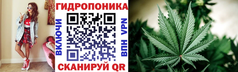 цена   Апшеронск  Бошки марихуана индика 